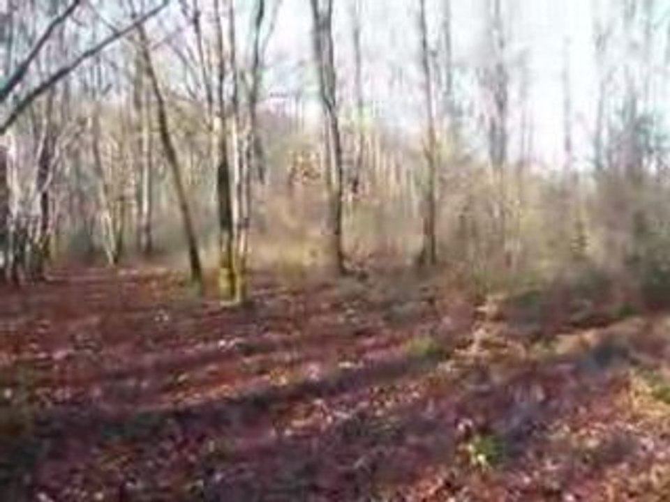 DSCF0082