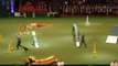 Agility At CRUFTS by Pet-Hunting