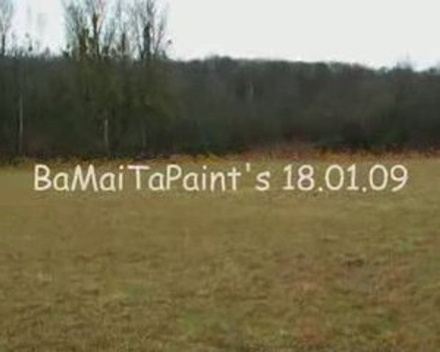 CLIP Bamaitapaint 18.01.09