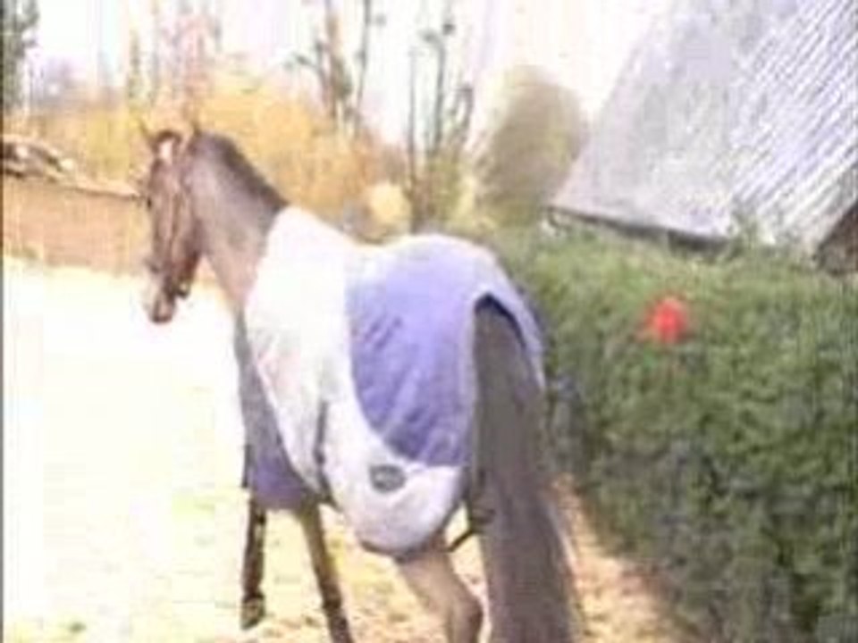 Nomad de la Mare - Liberté - 20 janvier 2009