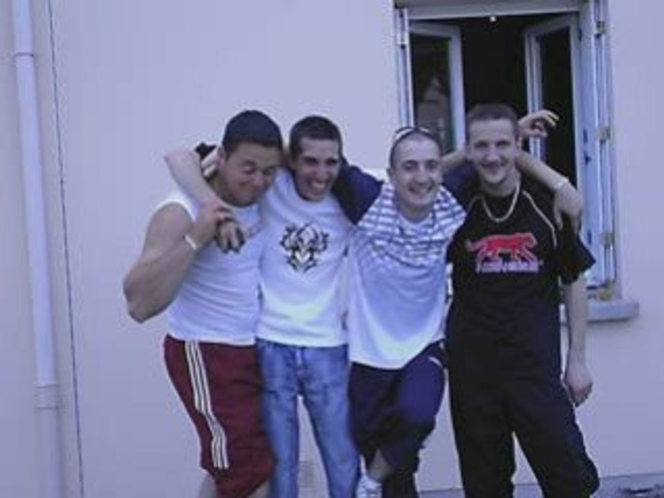Moustique video_0003