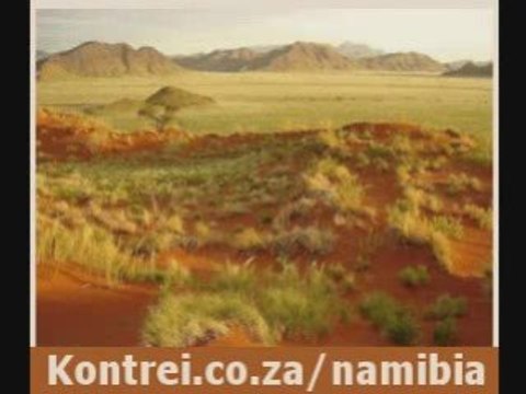 Namibia Safaris: Join An Unforgettable Namibia Safari!