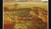 Namibia Safaris: Join An Unforgettable Namibia Safari!