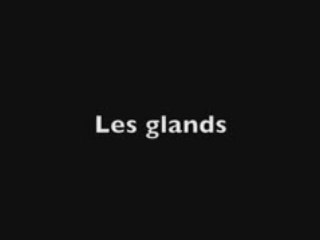 Les glands