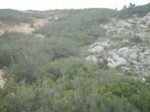 Rando QUAD SUD du 18 Janvier 2009