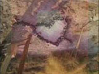 OLA DIKA SOY MATIA MOY