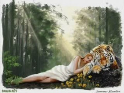 Shamara, Angel I Troy - Moite Laji