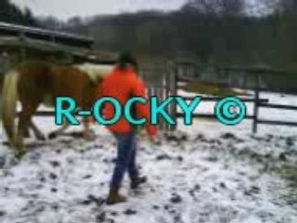 R-OCKY ©