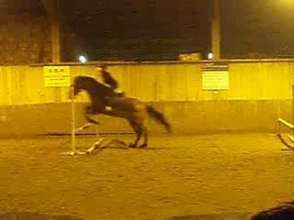 saut d'obstacle