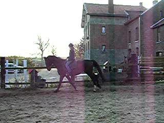 galop marie