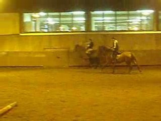 saut d'obstacle