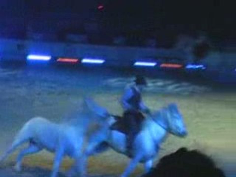 La Camargue Cheval Passion 09