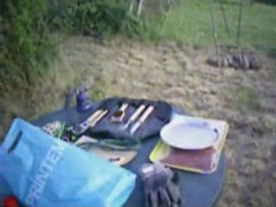 Chasse sous marine saison 2008