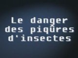 Clip d'information easyPOP Le danger des piqûres d'insectes