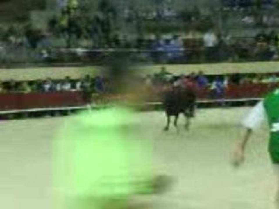 Mauguio 2008