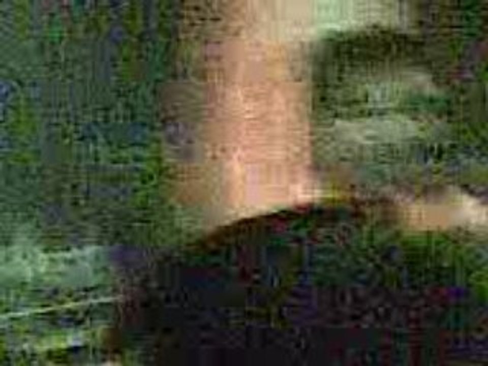 Polysics @ Nasti, Madrid