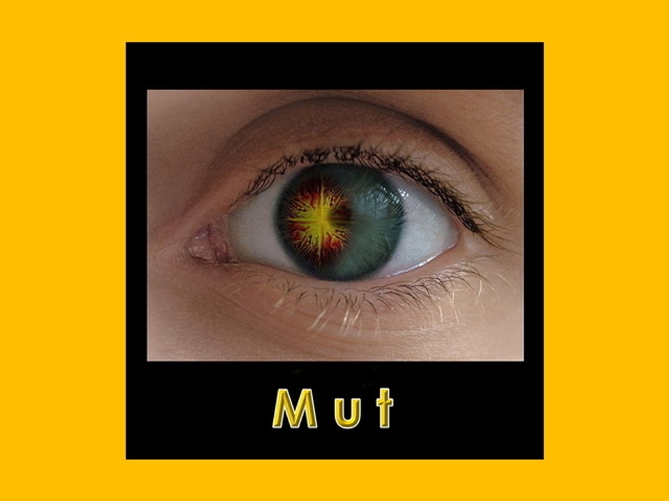 Mut für eine Welt mit christian grünberger TIAN GREEN