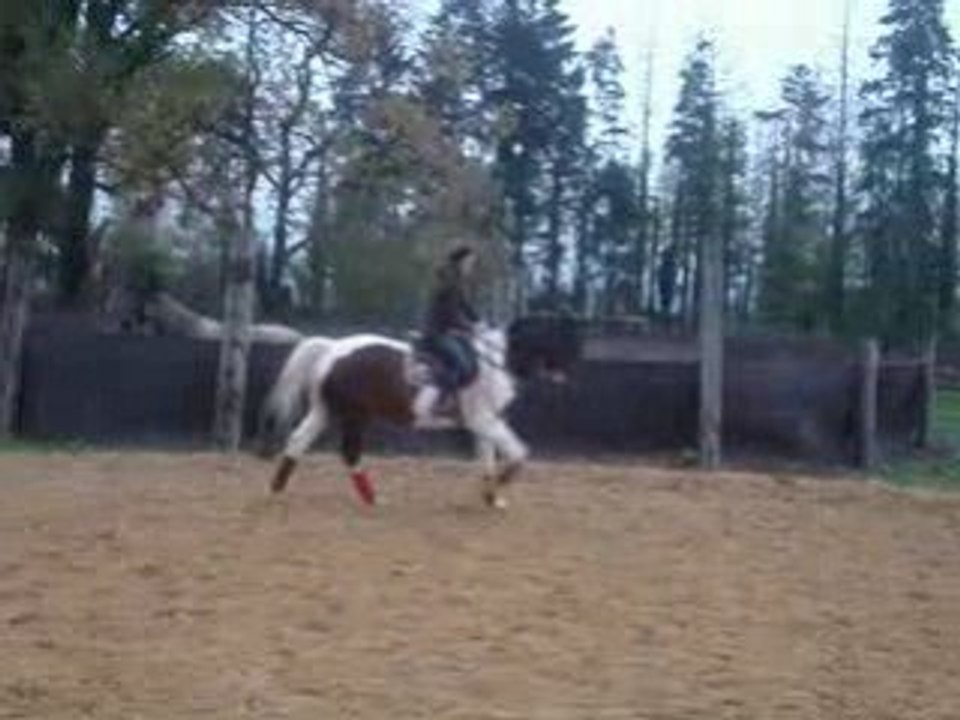 MOV02523