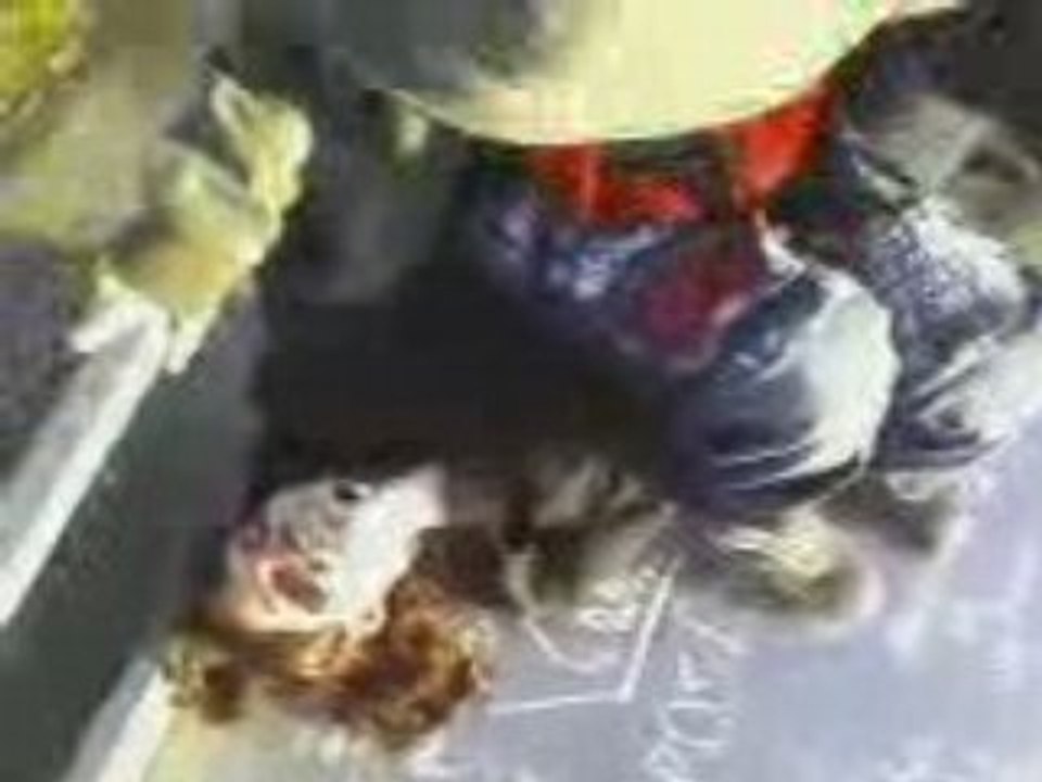 Skate Park 20-01-09