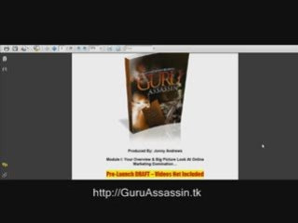 The Guru Assassin - How to Annihilate Niches...