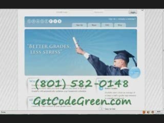 What are the best and most affordable custom web services?