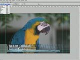 Making Lower Thirds 2 : Creative COW : Photoshop Tutorial