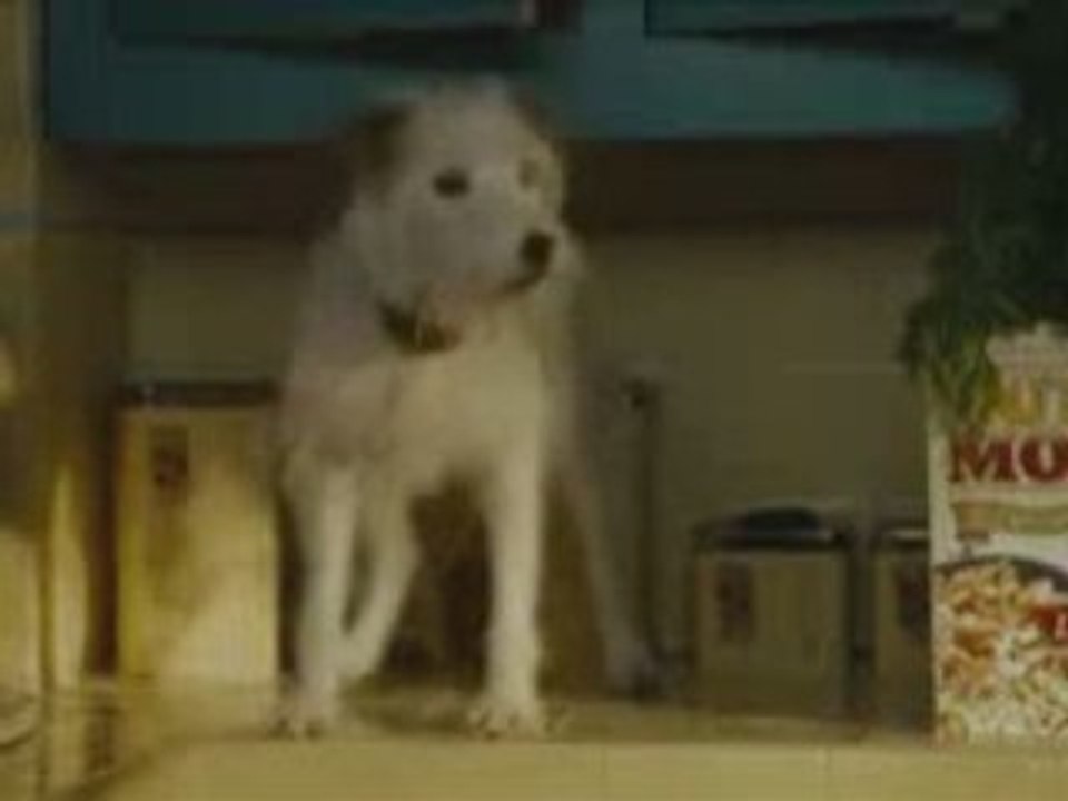 Hotel for Dogs Trailer, Download Hotel for Dogs