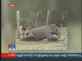 Manorama News   The Number 1 Malayalam News