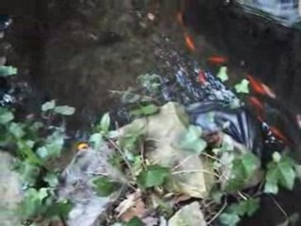 CARICATURE 3 de  LeLibrePenseur du MDI   par zinzinoo7