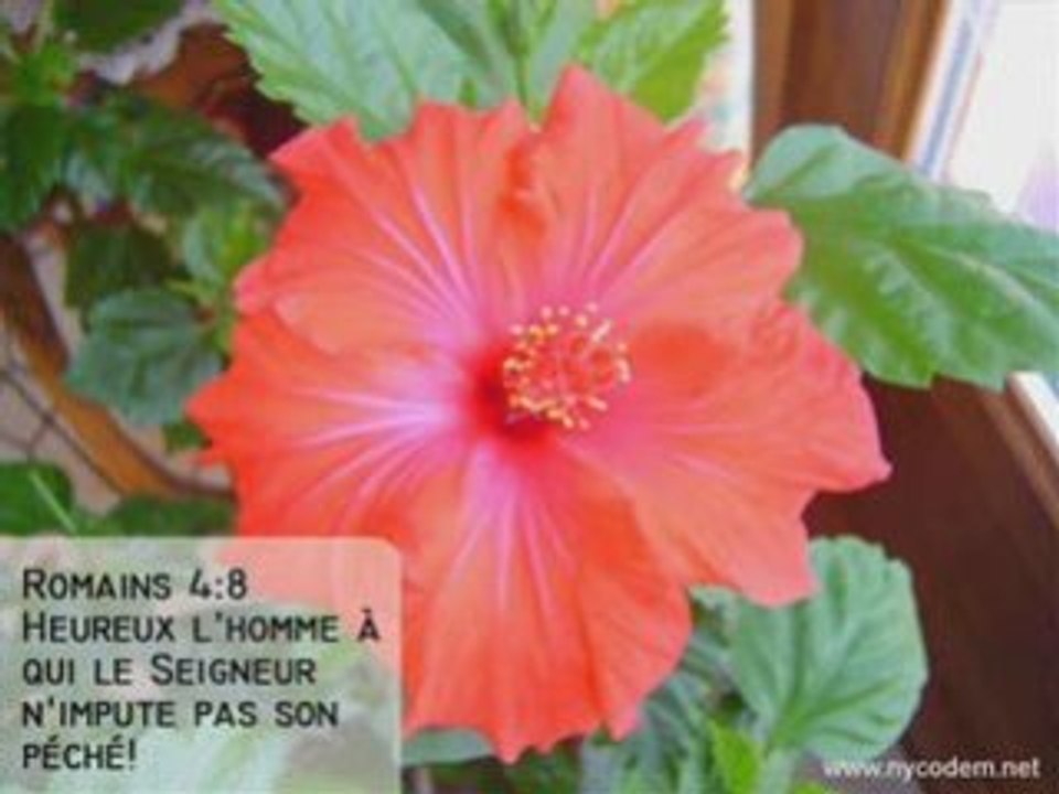 thibault souano antonio "tenemos un dios"