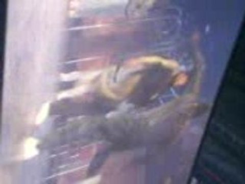 Concert Chris Brown - Marseille