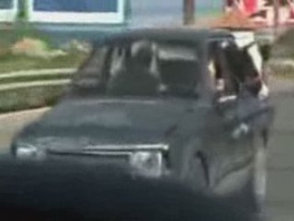 Régis transporte sa vache ! pas cher !