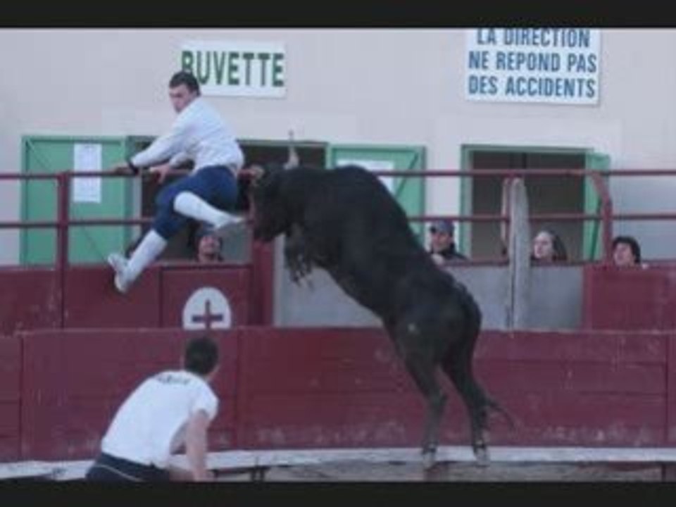 Montage vidéo janvier 2009