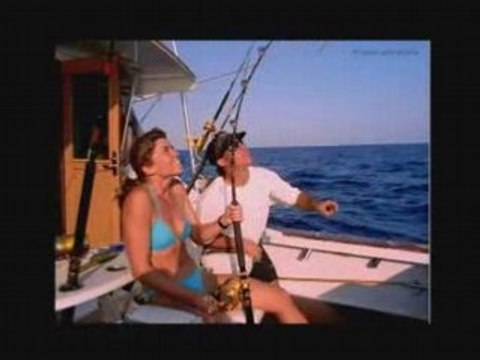 Веб презентация