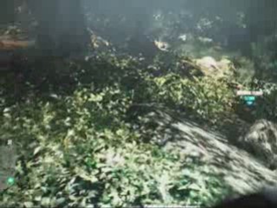 Crysis