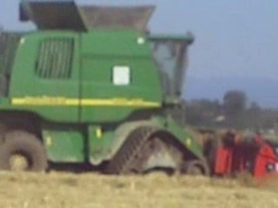 moisson à chenilles céréales à paille (orges)