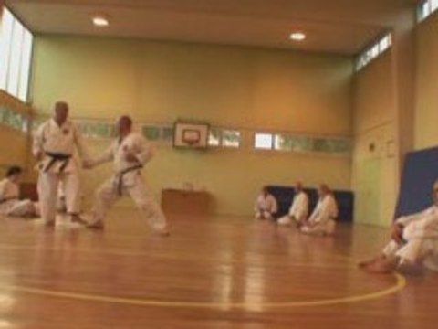 KARATE DO SHITO RYU-DOJO NOGENT SUR OISE....