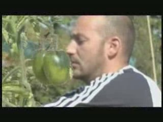 Les jardins familiaux de Cergy