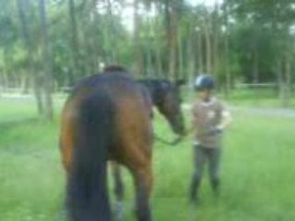 Tentative de jambette