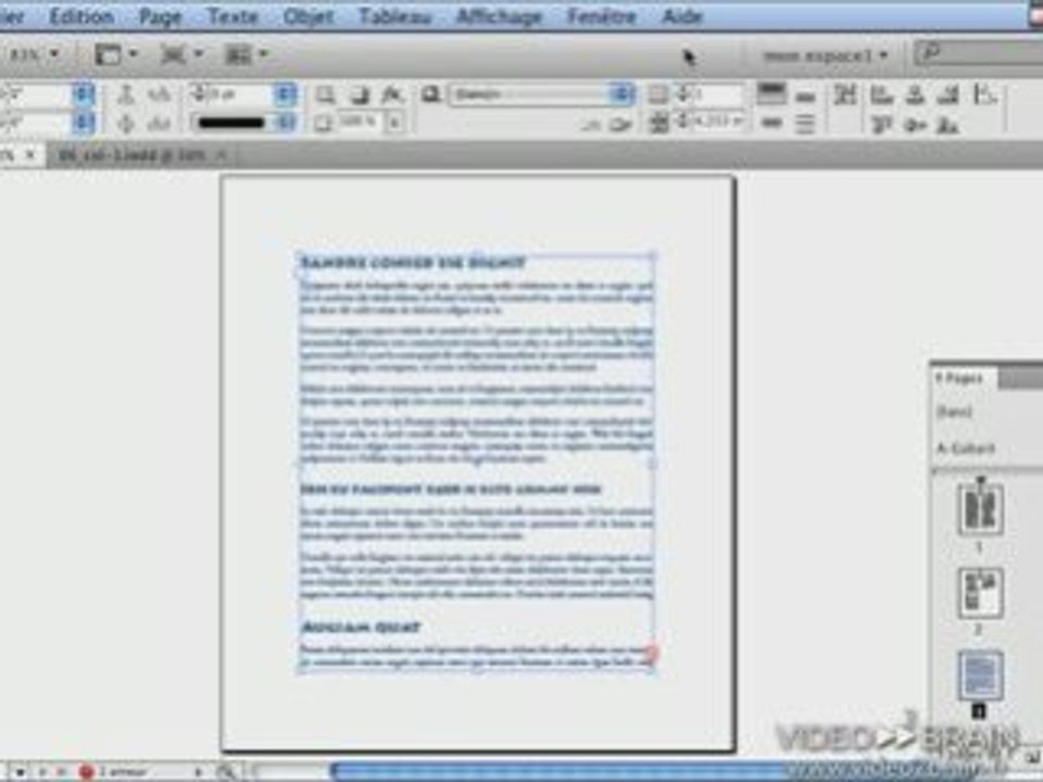 Adobe InDesign CS4 : Les textes en colonnes
