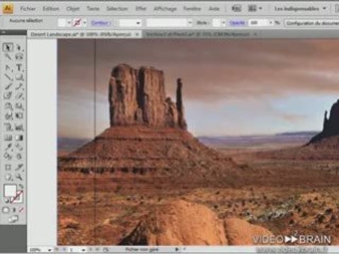 Adobe Illustrator CS4 : Graphique vectoriel pixellisé