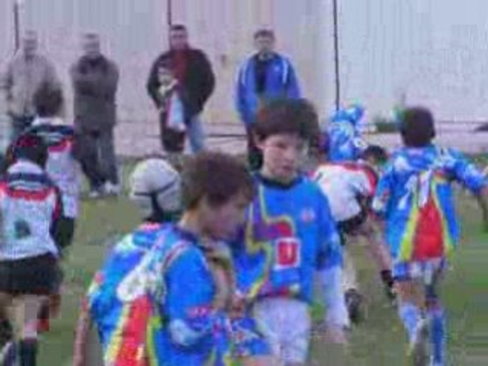 canohes poussins 06 12 2008