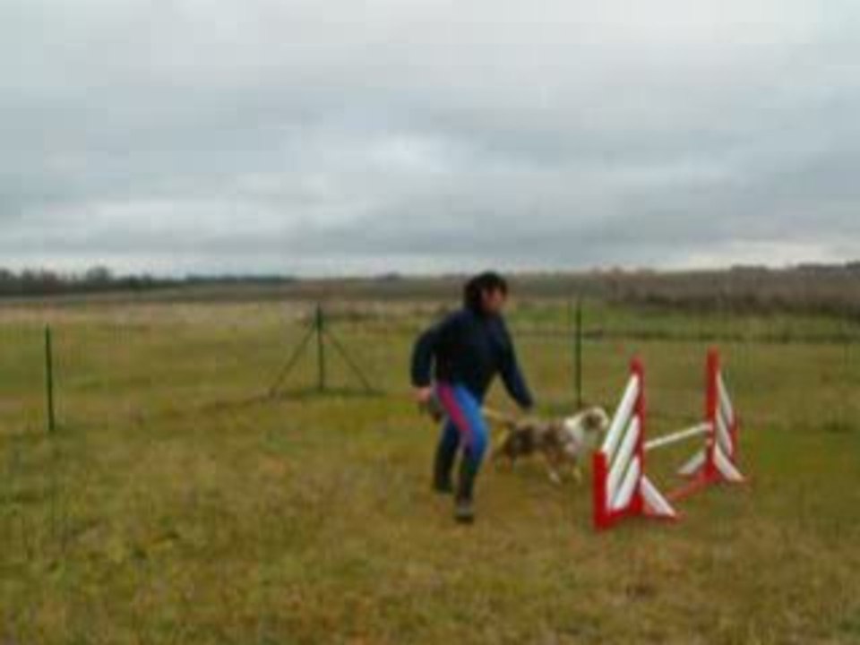 Bag slalom et obstacles