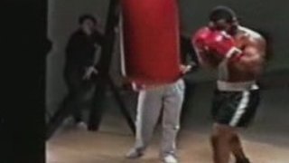 tyson training punch bag 