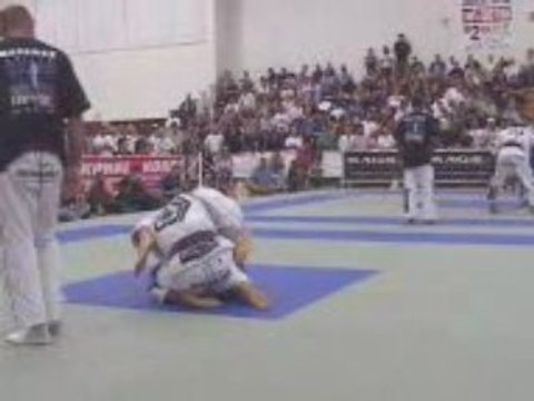 ronaldo jacaré souza vs braulio estima
