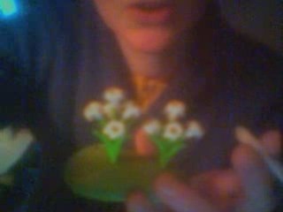 Publicité pour les fleurs