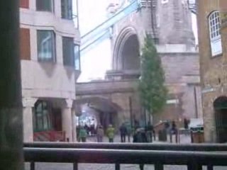 Pigeons Fighting Spirit