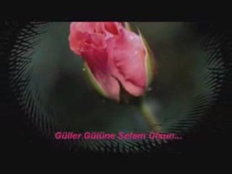 Ben Böyle Olmamalıydım Dursun Ali Erzincanlı