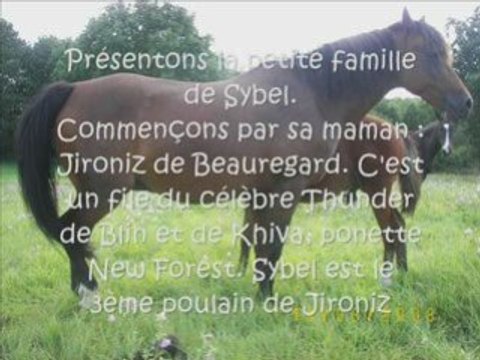 Hermes & Sybel Ferme Equestre de Beauregard