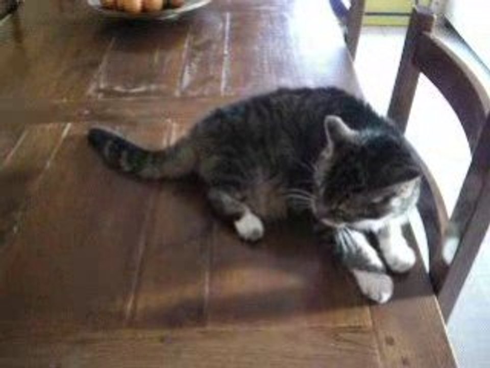 nala donne une tape à ludu